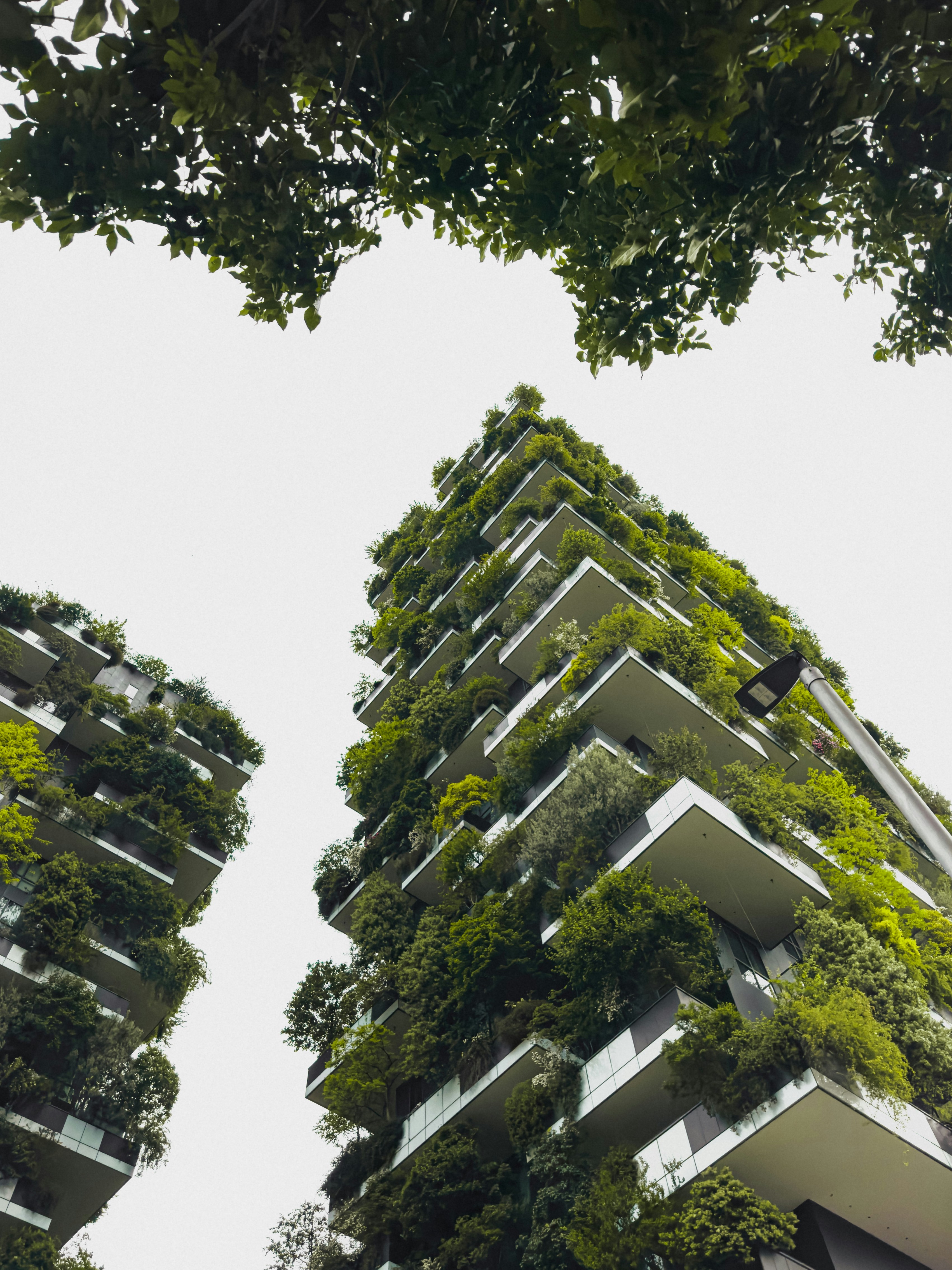 vertical forest building